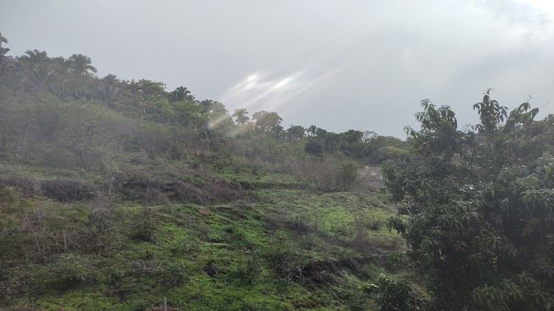 Reserva Ecológica El Paraíso - Activity in Guayabitos